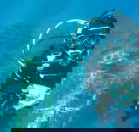 PADI Open Water Course - Surfers Paradise Gold Coast