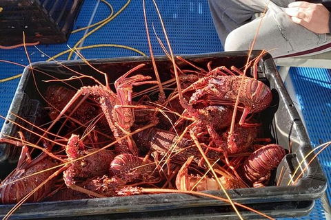 Lobster Fishing Tour At Geraldton - Surfers Paradise Gold Coast 6