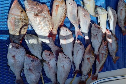 Geraldton Fishing Charter - Surfers Paradise Gold Coast 7