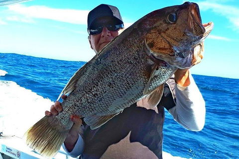 Geraldton Fishing Charter - Surfers Paradise Gold Coast 4
