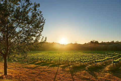 Private Barrel Hall Wine Tasting In The Margaret River Region - Surfers Paradise Gold Coast 3