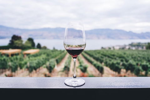 Full-Day Gourmet Wine Tour With Pick Up And Lunch - Surfers Paradise Gold Coast 1