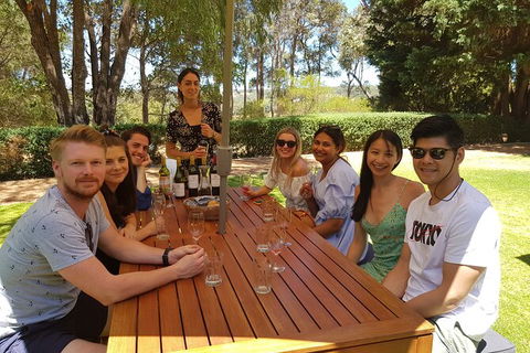 Full-Day Gourmet Wine Tour With Pick Up And Lunch - Surfers Paradise Gold Coast 5