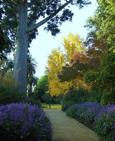 Albury Botanic Garden - Surfers Paradise Gold Coast 0