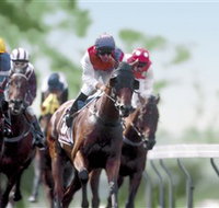 Colac Turf Club - Surfers Paradise Gold Coast