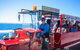 Busselton Jetty & Underwater Observatory Tour - thumb 3