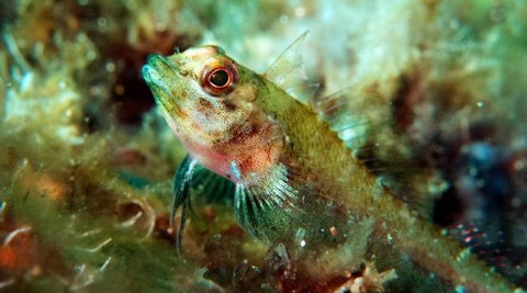 Busselton Jetty & Underwater Observatory Tour - Surfers Paradise Gold Coast 7