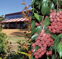 Bushfood Factory and Cafe - Surfers Paradise Gold Coast