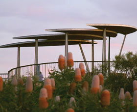 Reabold Hill Summit Boardwalk, Bold Park - Surfers Paradise Gold Coast 0