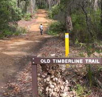 Old Timberline and Sidings Rail Trails