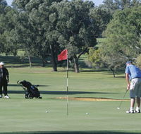 Spalding Park - Surfers Paradise Gold Coast