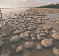 Lake Clifton Thrombolites - Surfers Paradise Gold Coast