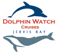 Dolphin Watch Cruises - Surfers Paradise Gold Coast 2