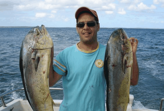 Jervis Bay Fishing And Charters - Surfers Paradise Gold Coast 0