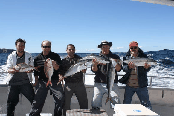 Jervis Bay Fishing And Charters - Surfers Paradise Gold Coast 2