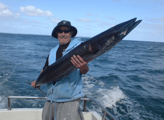 Jervis Bay Fishing And Charters - Surfers Paradise Gold Coast 4
