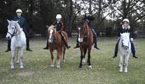 Valhalla Horse Riding - Surfers Paradise Gold Coast 1