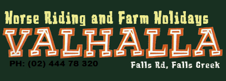 Valhalla Horse Riding - Surfers Paradise Gold Coast 4