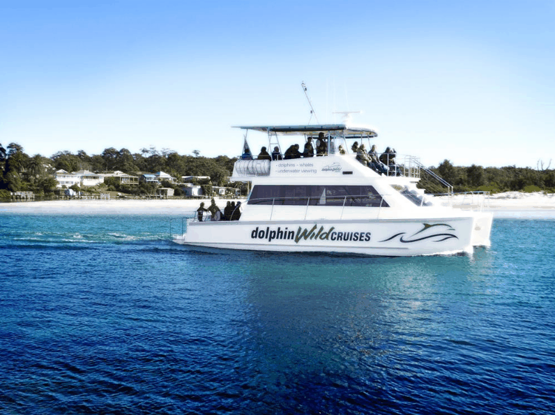 Dolphin Wild Cruises - Surfers Paradise Gold Coast 1