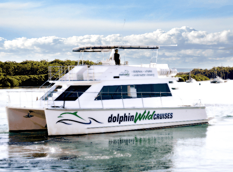 Dolphin Wild Cruises - Surfers Paradise Gold Coast 2