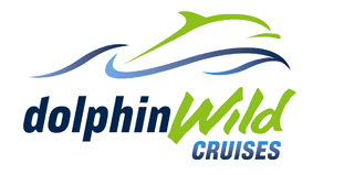 Dolphin Wild Cruises - Surfers Paradise Gold Coast 4