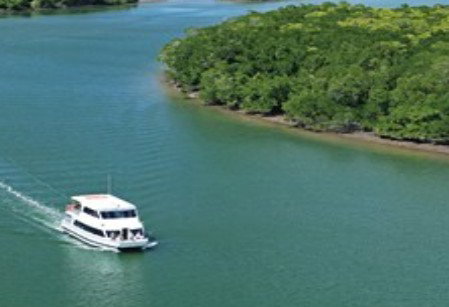 Cairns Harbour Cruises - Surfers Paradise Gold Coast 3