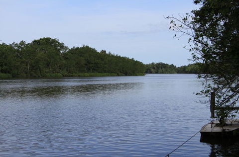 Daintree River Cruise Centre - Surfers Paradise Gold Coast 2