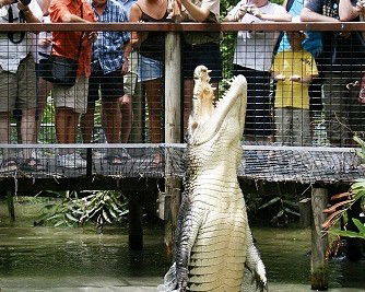 Hartley's Crocodile Adventures - Surfers Paradise Gold Coast 0