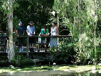 Hartley's Crocodile Adventures - Surfers Paradise Gold Coast 2