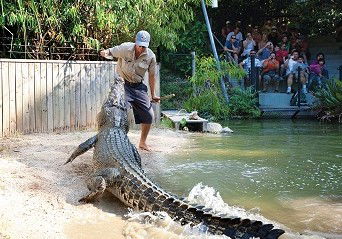 Hartley's Crocodile Adventures - Surfers Paradise Gold Coast 4