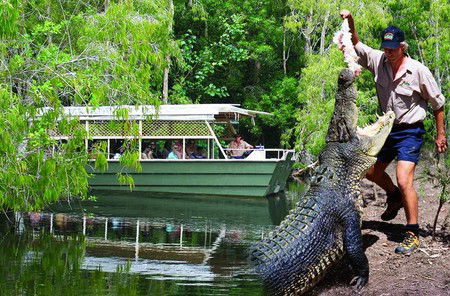 Hartley's Crocodile Adventures - Surfers Paradise Gold Coast 6