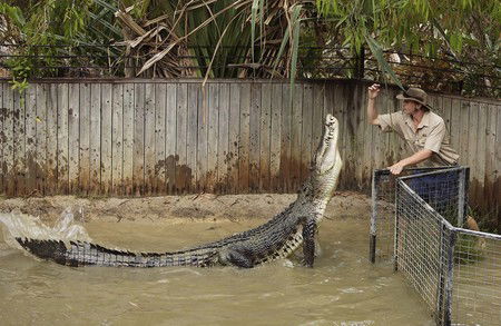 Hartley's Crocodile Adventures - Surfers Paradise Gold Coast 8