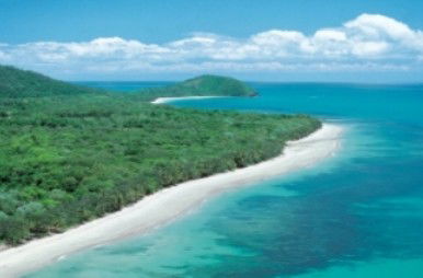 Reef And Rainforest Connections - Surfers Paradise Gold Coast 0