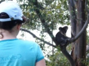 Araucaria Ecotours - Surfers Paradise Gold Coast 1