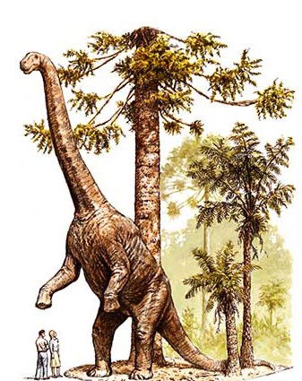 Australian Age Of Dinosaurs - Surfers Paradise Gold Coast 2