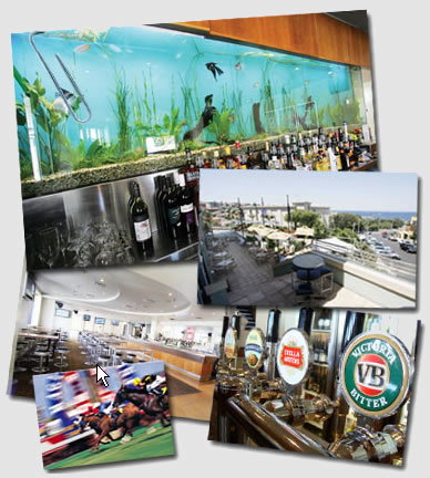 Bars Clovelly NSW Surfers Paradise Gold Coast