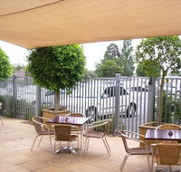 Coach  Horses - Surfers Paradise Gold Coast