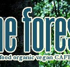 Forest Cafe  Bar - Surfers Paradise Gold Coast