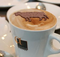 Brown Cow - Surfers Paradise Gold Coast