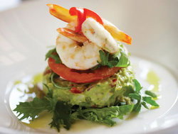 The Greengate Hotel - Surfers Paradise Gold Coast 1