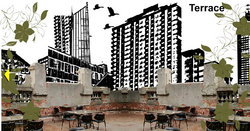 The Order - Surfers Paradise Gold Coast 1