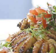 Nicks Bar and Grill - Surfers Paradise Gold Coast