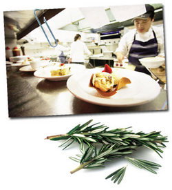 Clovelly Hotel - Surfers Paradise Gold Coast 2