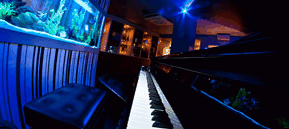 Saks Restaurant & Bar - Surfers Paradise Gold Coast 2