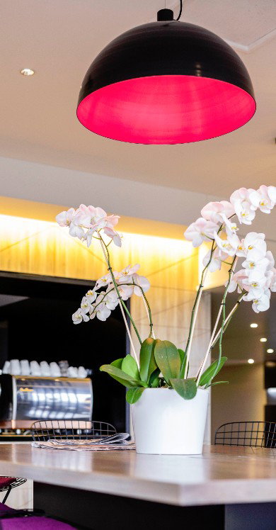 MRepublic Restaurant, Bar And Lounge - Surfers Paradise Gold Coast 4