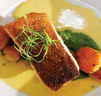 Blue Angel - Surfers Paradise Gold Coast