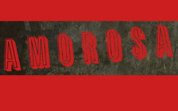 Amorosa - Surfers Paradise Gold Coast 0