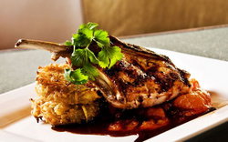 Royal Oak Hotel - Surfers Paradise Gold Coast 2