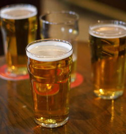 Racecourse Hotel - Surfers Paradise Gold Coast 2