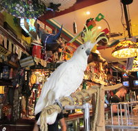 A Friend In Hand - Surfers Paradise Gold Coast